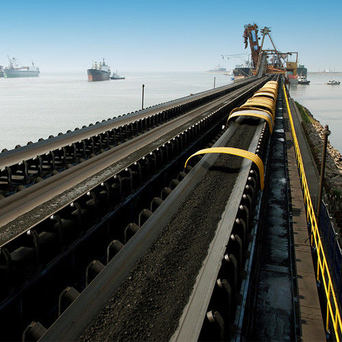 Motor Driven Port Belt Conveyor System